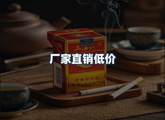 专业团队办公环境